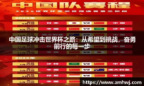 中国足球冲击世界杯之路：从希望到挑战，奋勇前行的每一步