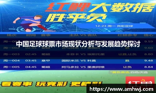 中国足球球票市场现状分析与发展趋势探讨