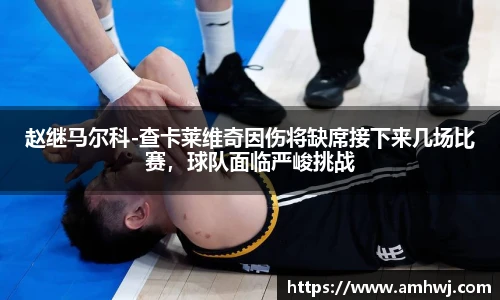 赵继马尔科-查卡莱维奇因伤将缺席接下来几场比赛，球队面临严峻挑战