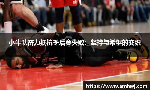 小牛队奋力抵抗季后赛失败：坚持与希望的交织